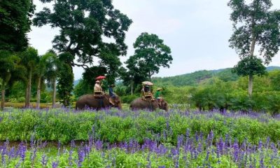 land tour laos